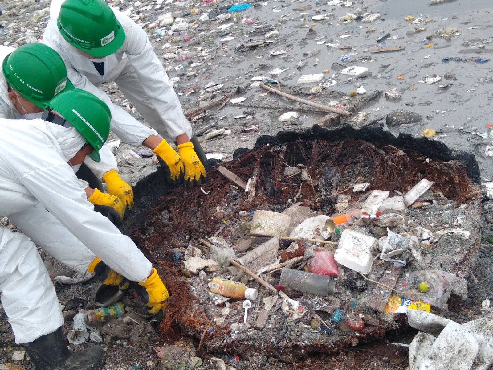 WhatsApp Image 2026-01-09 at 12.48.12